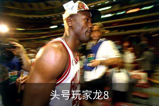 头号玩家龙8公司简介图片